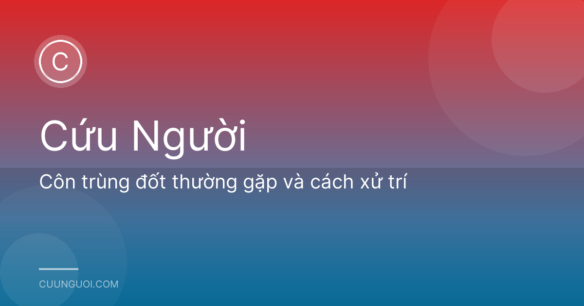 Côn trùng đốt thường gặp và cách xử trí