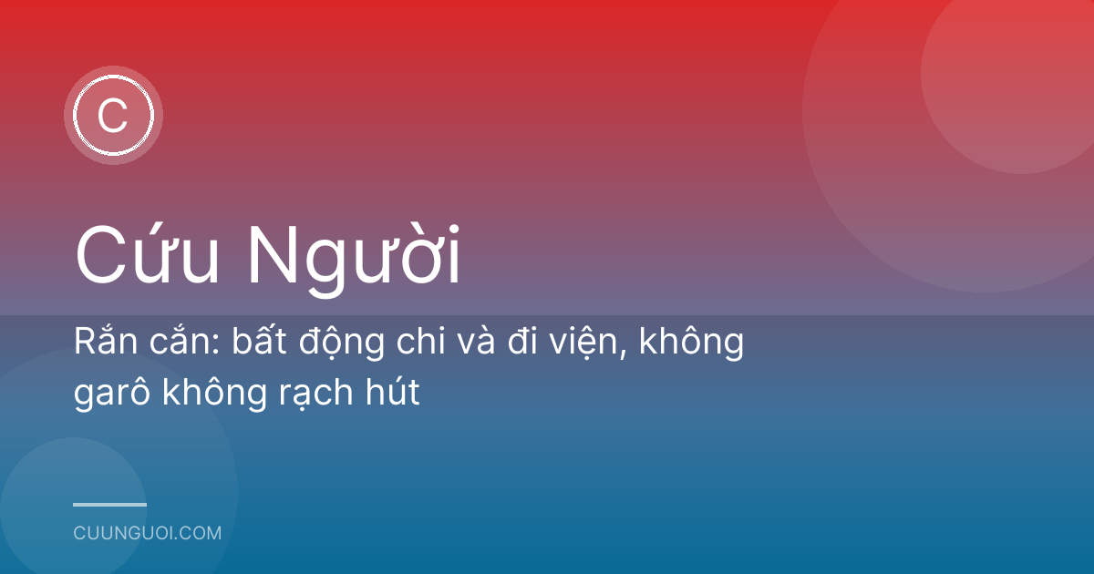 Rắn cắn: bất động chi và đi viện, không garô không rạch hút